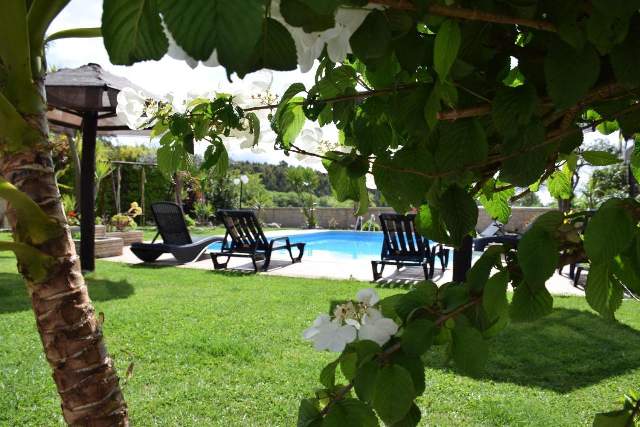 Alagoas4family -